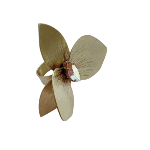 Colección Orquídeas