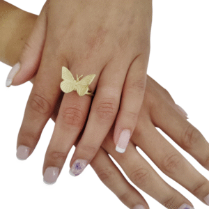 Anillo            –                 Mariposa