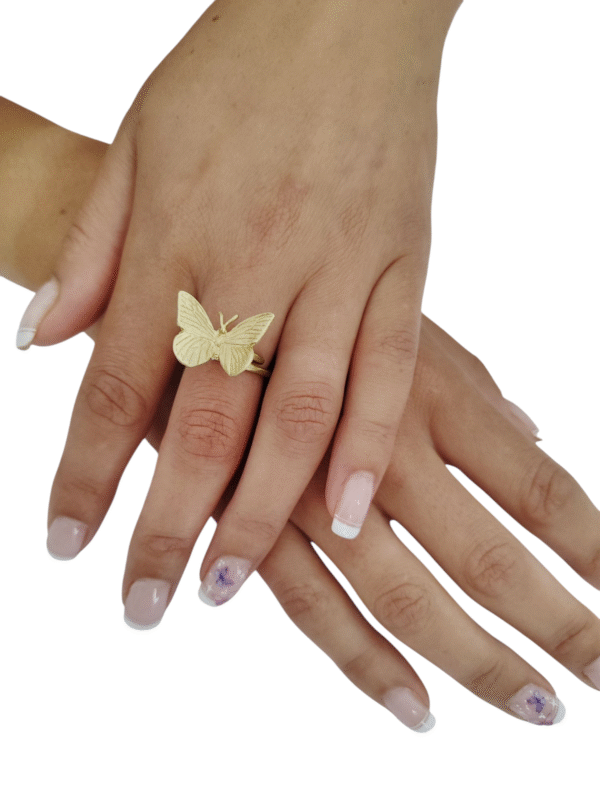 Anillo            –                 Mariposa
