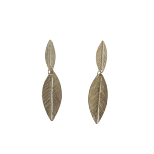 Coleccion Olivo