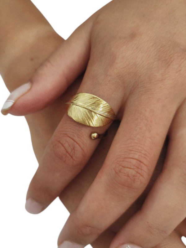 Anillo   ajustable            -      Olivo
