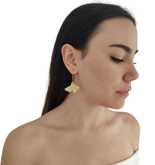 Argollas             Grandes   -         Ginkgo