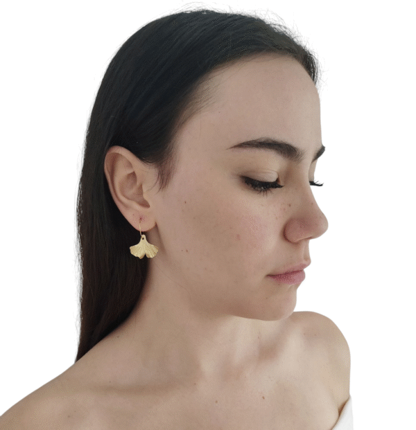 Argollas    Pequeñas             -     Ginkgo