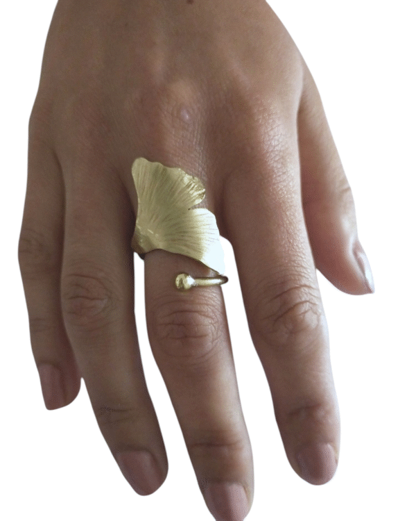 Anillo    Ajustable       -      Ginkgo